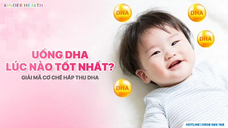tích lũy DHA trong não diễn ra mạnh nhất và tốt nhất trong 1000 ngày đầu đời (từ khi mang thai đến khoảng 3 tuổi)