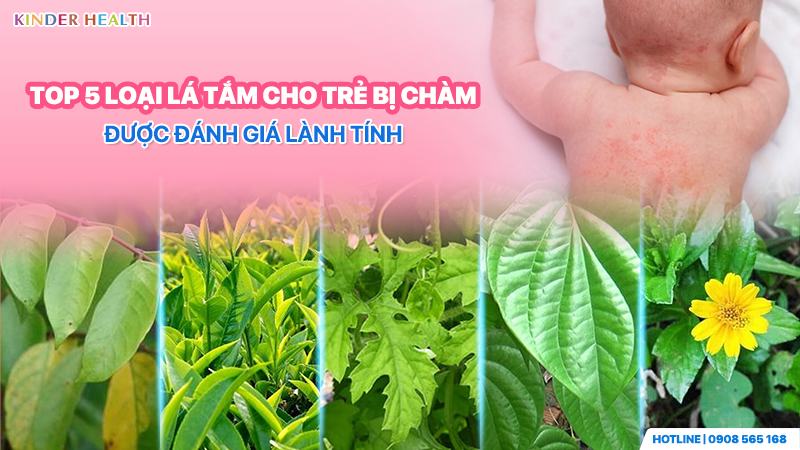 Top 5 loại lá tắm cho trẻ bị chàm được đánh giá lành tính