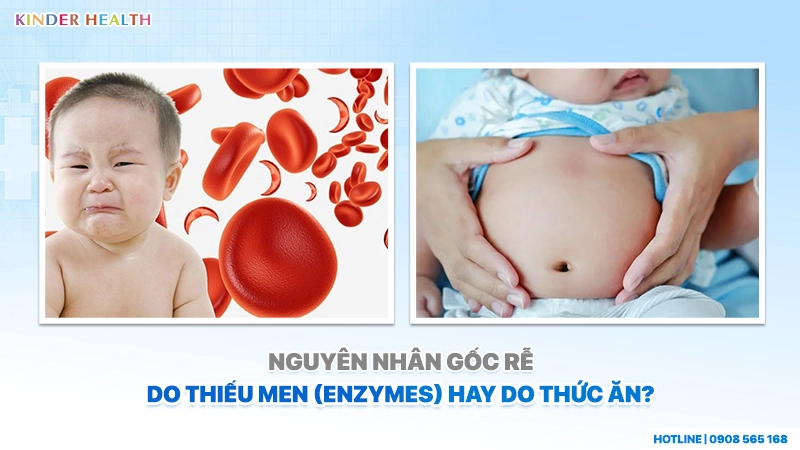 phân tích nguyên nhân gốc rễ trẻ chướng bụng đầy hơi do thiếu men tiêu hóa hay thức ăn.