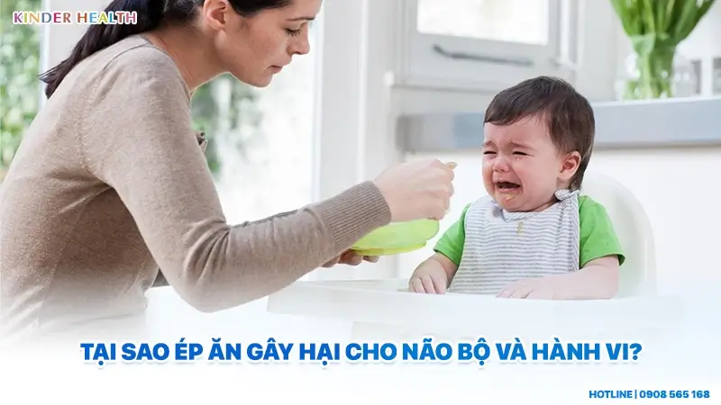 tại sao ép ăn gây hại cho não bộ và hành vi của trẻ