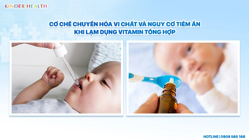 Cơ chế chuyển hóa vi chất và nguy cơ tiềm ẩn khi lạm dụng vitamin tổng hợp
