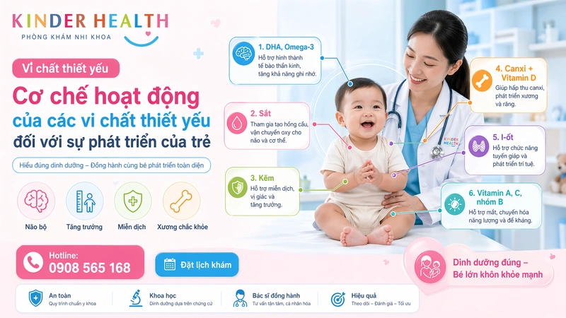 Cơ chế hoạt động của các vi chất DHA, Omega-3, Sắt, Kẽm đối với sự phát triển của trẻ