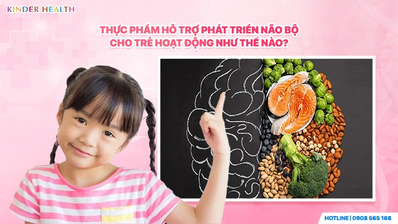 Bác sĩ KinderHealth giải đáp cơ chế hoạt động của thực phẩm hỗ trợ phát triển não bộ ở trẻ.