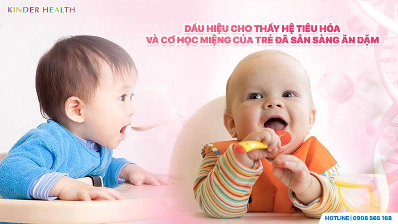 Dấu hiệu cho thấy hệ tiêu hóa và cơ học miệng của trẻ đã sẵn sàng ăn dặm