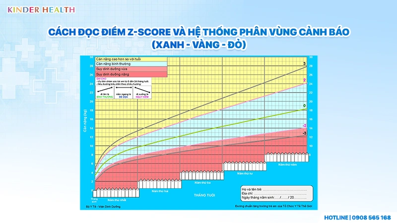Bảng Đo Tốc Độ Phát Triển Dinh Dưỡng Trẻ Em: Hướng Dẫn Đọc Biểu Đồ Chuẩn WHO 2 Cách đọc điểm Z-Score và hệ thống phân vùng cảnh báo (Xanh - Vàng - Đỏ)