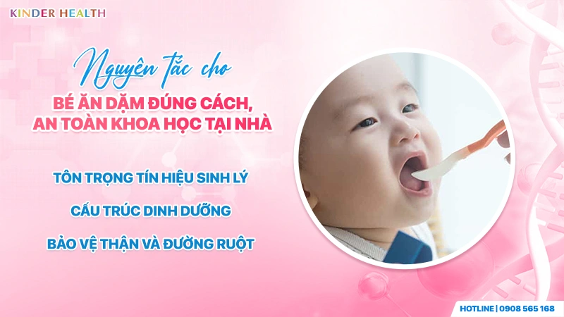Nguyên tắc cho bé ăn dặm đúng cách, an toàn khoa học tại nhà