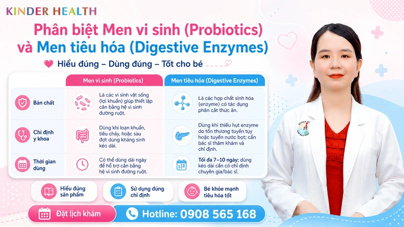 Rối Loạn Tiêu Hóa Ở Trẻ Em: Nguyên Nhân, Dấu Hiệu Và Phác Đồ Phục Hồi Dinh Dưỡng 3 Phân biệt Men vi sinh (Probiotics) và Men tiêu hóa (Digestive Enzymes)