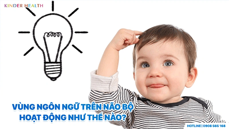 giải đáp cách vùng ngôn ngữ trên não bộ hoạt động ở trẻ