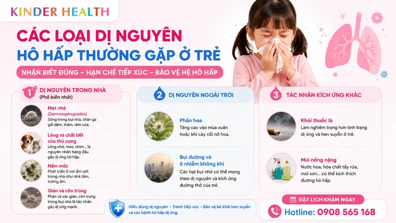 Các Loại Dị Nguyên Hô Hấp Thường Gặp Ở Trẻ: Triệu Chứng, Phân Biệt Và Phác Đồ Kiểm Soát