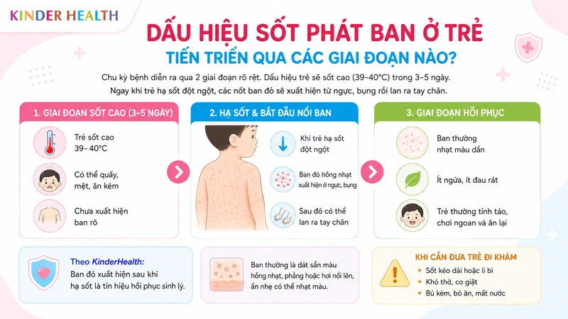 Dấu hiệu sốt phát ban ở trẻ tiến triển qua các giai đoạn nào?