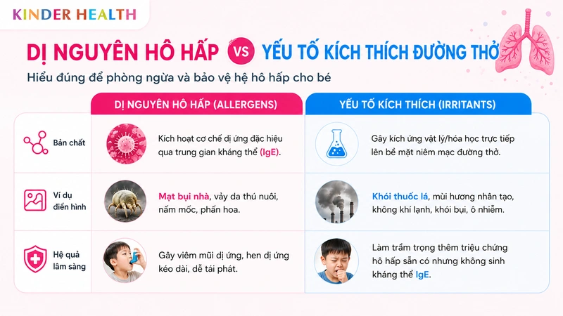 Dị nguyên hô hấp khác gì với các yếu tố kích thích đường thở?