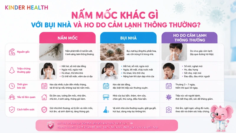 Nấm mốc khác gì với bụi nhà và ho do cảm lạnh thông thường?