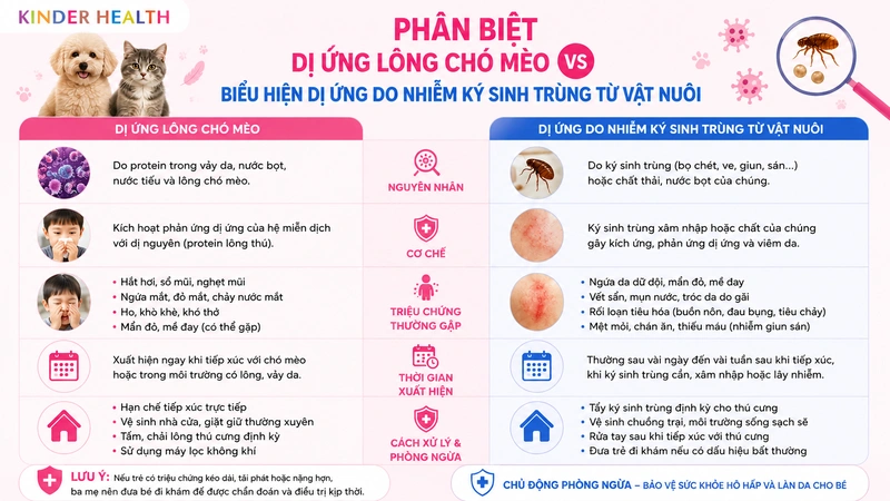 Phân biệt dị ứng lông chó mèo và biểu hiện dị ứng do nhiễm ký sinh trùng từ vật nuôi