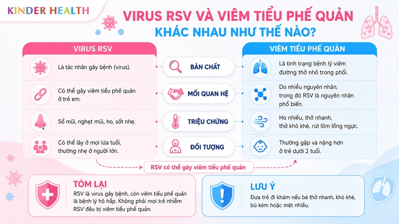 Virus RSV và Viêm tiểu phế quản khác nhau như thế nào?