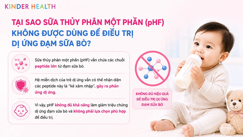 Tại sao sữa thủy phân một phần (pHF) không được dùng để điều trị dị ứng đạm sữa bò?